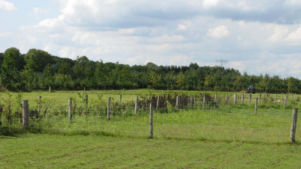 Antonius Hoeve Oudenbosch Luaran gambar